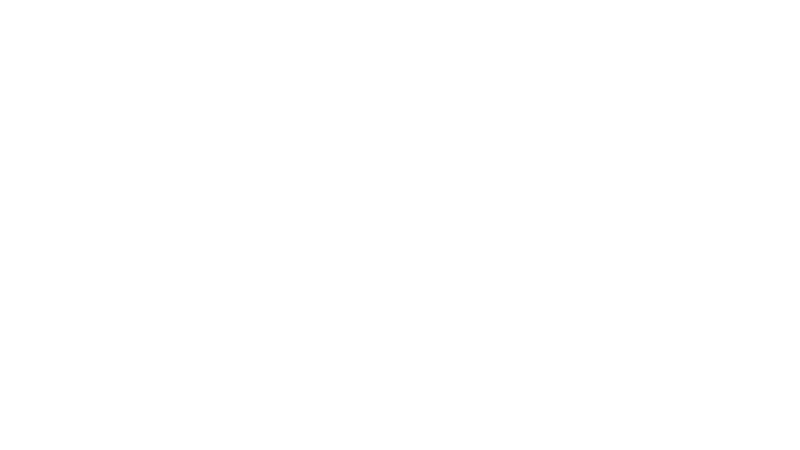 Logo Havan